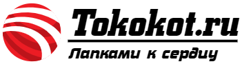 tokokot.ru Logo